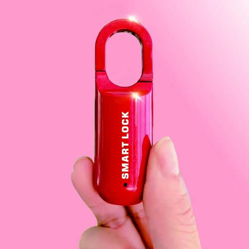SmartLock 