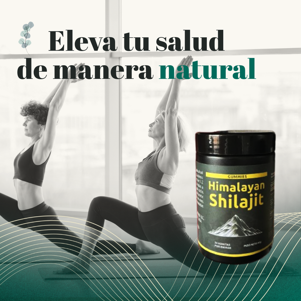 Shilajit Vita